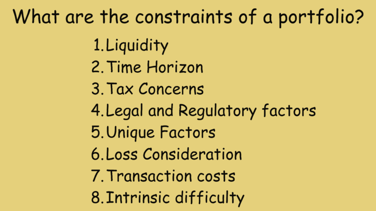 What are the constraints of a portfolio?